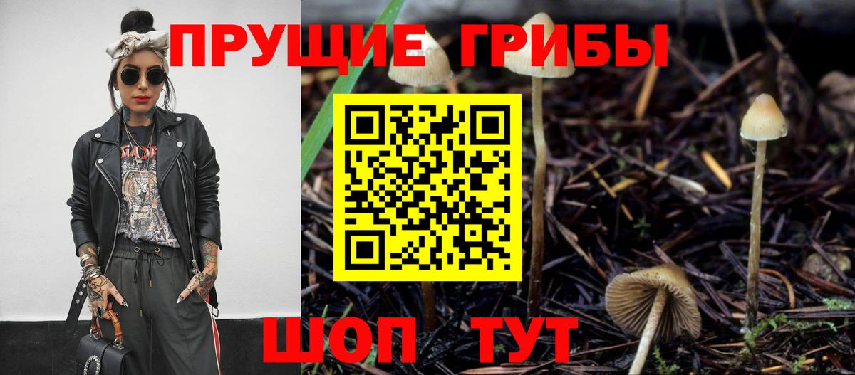 Галлюциногенные грибы прущие грибы Кувандык
